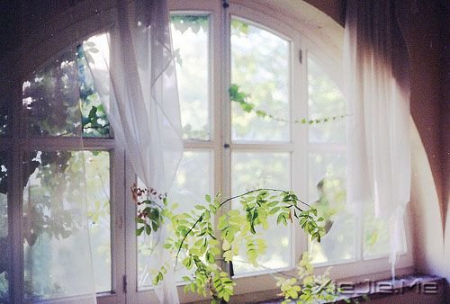 晚安心语:不要因为一时的心烦,做出一辈子的傻事 (5)