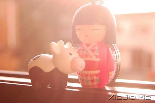 早安心语:记得带上自己的阳光 (1)