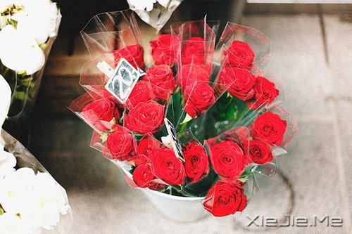 文字:放开二胎的意义?