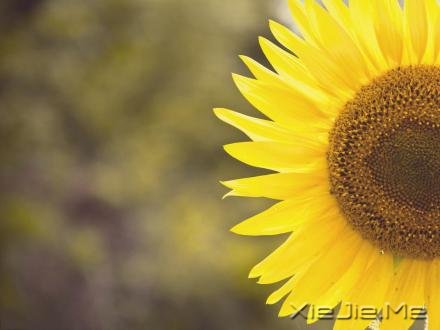 经典语录:你的世界,就是整个世界 (6)